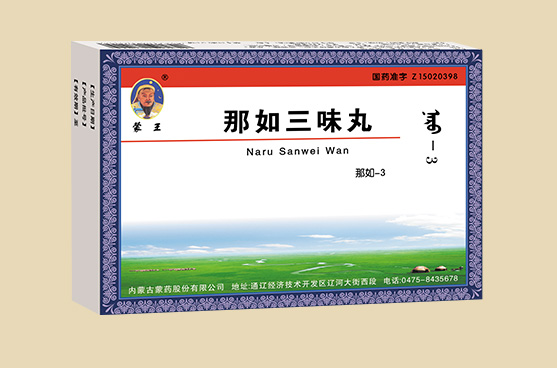 D:\20190416建\蒙药股份网站产品\图片\1 0TC渠道产品群\五大病类\风湿骨病\那如三味丸.jpg